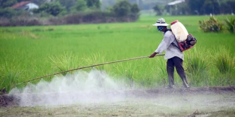 Chủ động thải độc tố chì